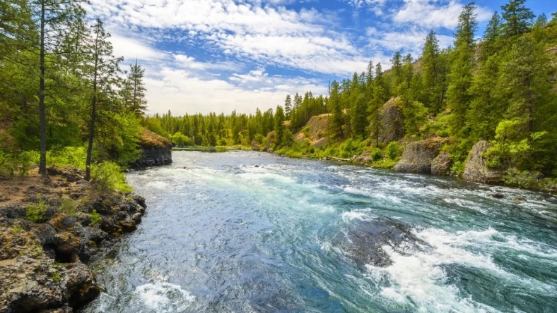 Fast-flowing river winding through forested landscape under open sky